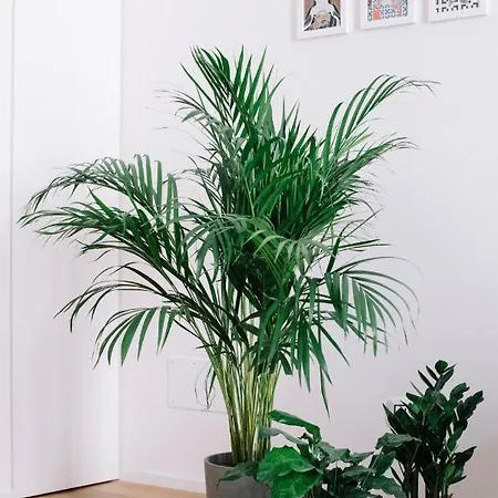 Διαμέρισμα Stay Apartments Μολφέττα