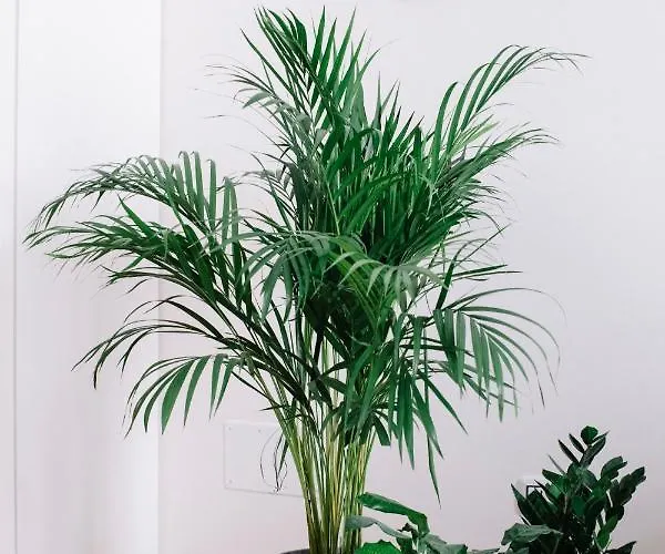 شقة Stay Apartments مولفيتا